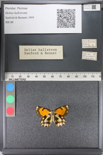 Media type: image;   Entomology 128276